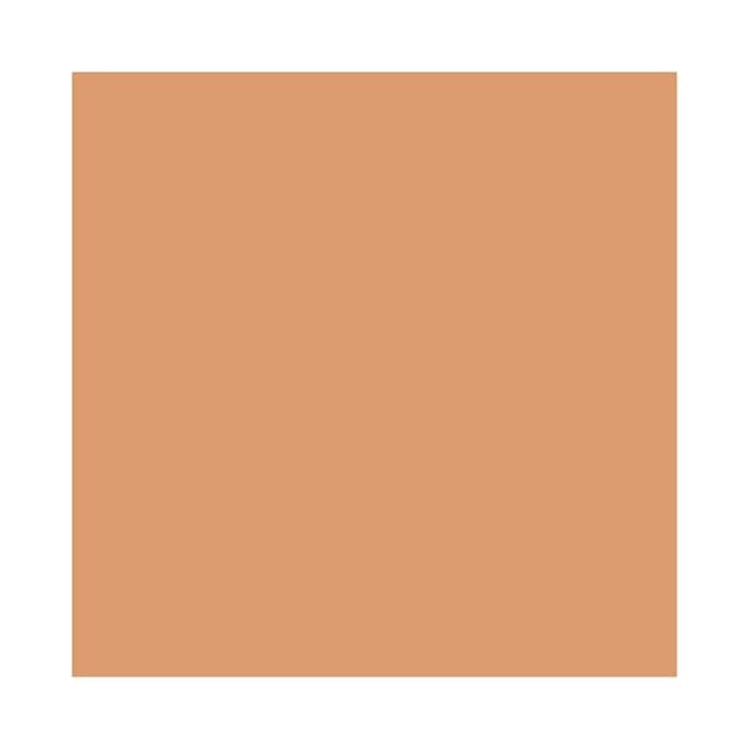 M.A.C. Studio Waterweight SPF 30 Foundation, NC42, Unisex,