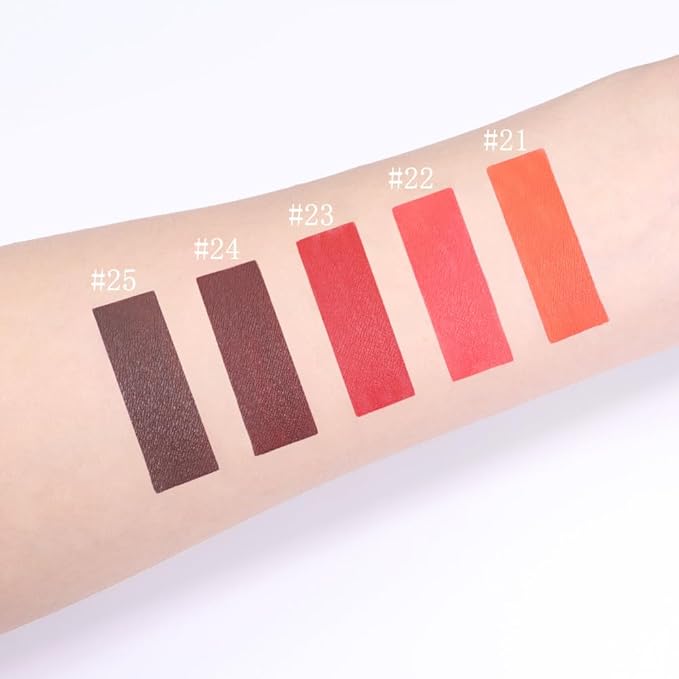 AMY'S DIARY Matte Plum Liquid Lipstick 5Pcs Sets,24-hour Lipstick Dark Deep Red Plum Red Lip Stain 24 Smudge Waterproof for Women (Set05)