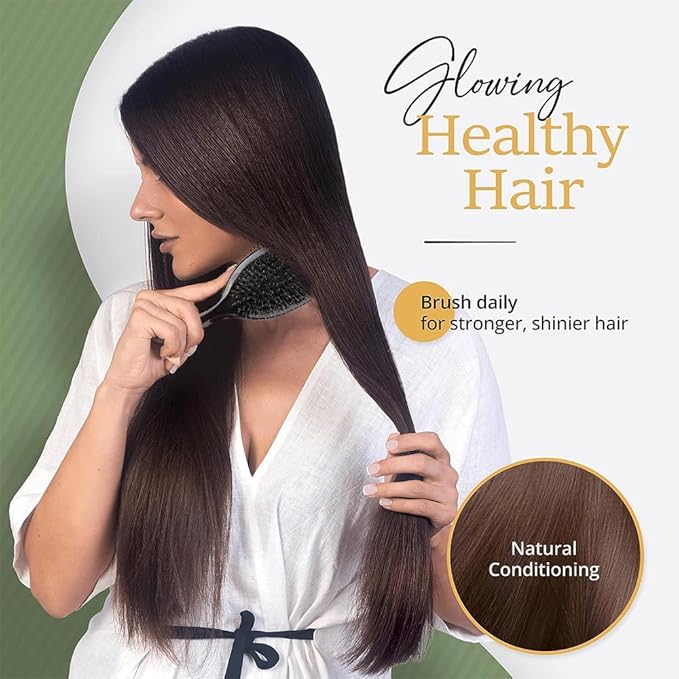 Nylon Teeth Boar Bristle Hair Extension Brush Cushion Hair Brush for Women Styling Smoothing Detangling
