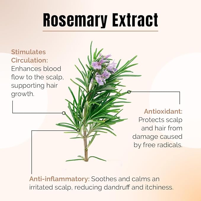 REVIVV Exfoliating Scalp Scrub Shampoo, Himalayan Salt Scrub to Cleanse Scalp, Exfoliator with Rosemary & Tea Tree Oil to Remove Buildup, Reduce Flaking and Promote Healthier, Fuller Hair, 6.7oz