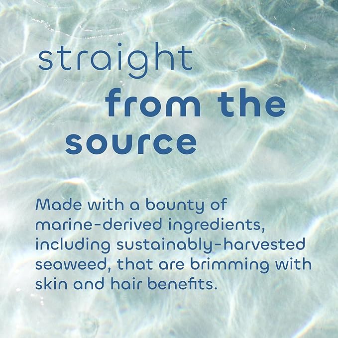 Seaweed Bath Co. Detox Body Scrub, Rosemary Mint Scent, 6 Ounce, Sustainably Harvested Seaweed, French Sea Clay, Coffee Extract