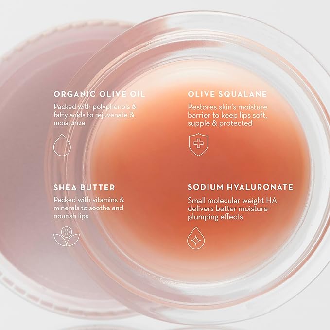 Olive Lip Butter Balm - 8ml | Hydrating & Plumping Lip Care with Organic Olive Oil & Natural Butters