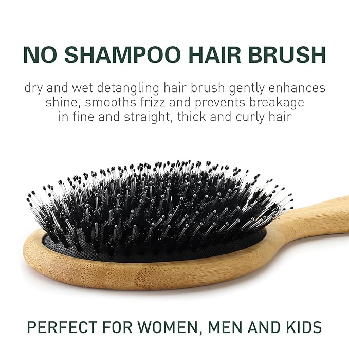 No Shampoo Hair Brush,Natural Boar Bristle Hair Brush for Women, Men, Kids;Smooths Frizz and Prevents Breakage in Fine and Straight, Thick and Curly Hair (oval)