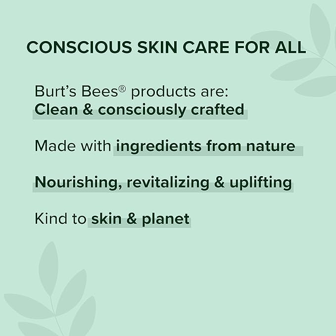 Burt's Bees Medicated Lip Balm, With