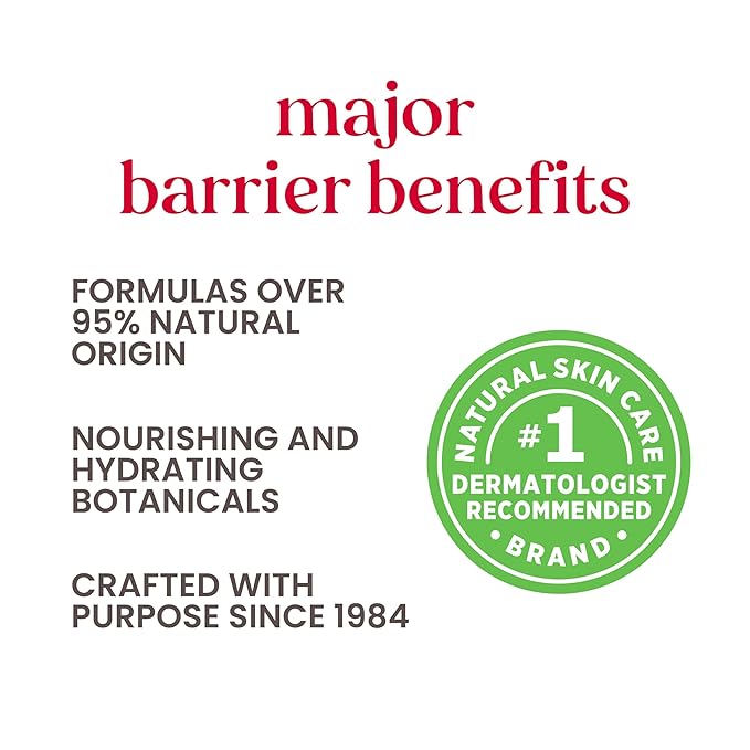 Burt's Bees Overnight Intensive Lip Treatment,