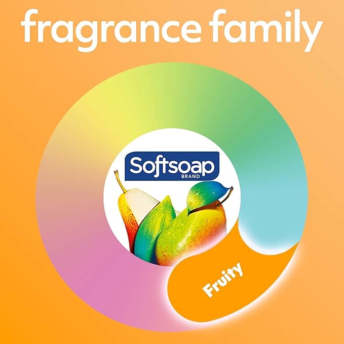 Softsoap Body Wash, Pomegranate & Mango Spritz Body Wash, 20 Fl Oz (Pack of 4)