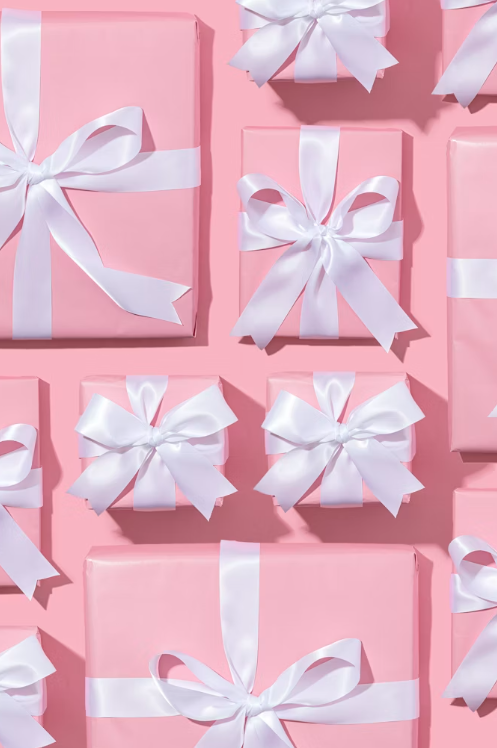 Makeup Gift Set