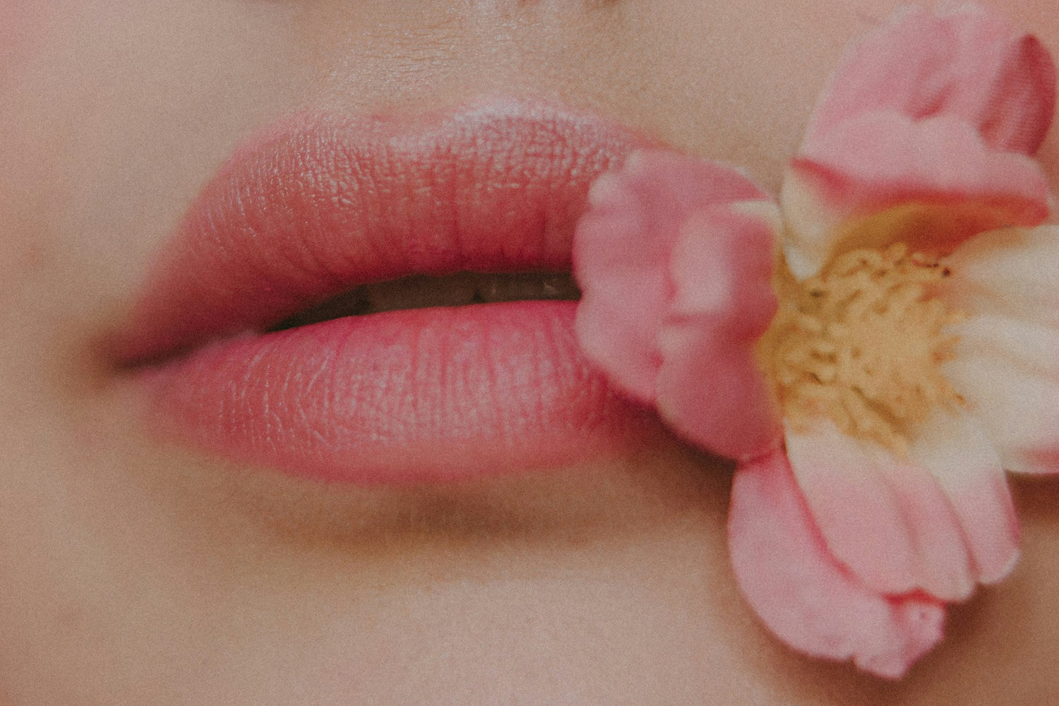 Lip sticks