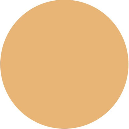 Luxury Oil Blotting Pressed Powder by Flori Roberts, Skin Tones