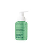 ATTITUDE Foaming Hand Soap, EWG Verified, Plant and Mineral-Based Ingredients, Vegan and Cruelty-free Personal Care Products, Green Apple & Basil, 10 Fl Oz