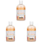 Ginger Lily Farms Botanicals Moisturizing Shampoo for All Hair Types, Coco Mango, 100% Vegan & Cruelty-Free, Coconut Mango Scent, 12 Fl Oz (Pack of 3)