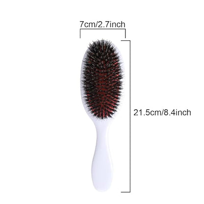 Nylon Teeth Boar Bristle Hair Extension Brush Cushion Hair Brush for Women Styling Smoothing Detangling