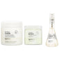 NATURELAB. TOKYO Bundle: Perfect Clean Scalp Scrub 8.1 oz, Perfect Repair Treatment Masque 6.7 oz & Perfect Shine Oil Mist 4 oz | $63 VALUE