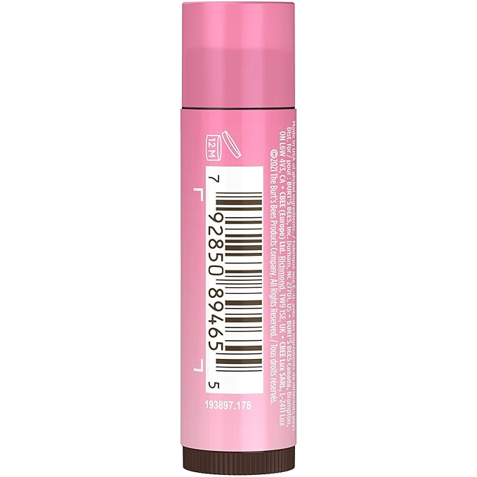 Burt's Bees Lip Tint Balm