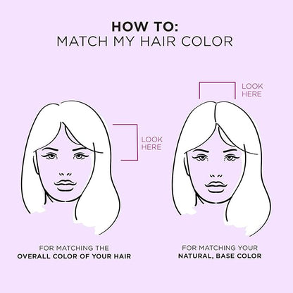 EVERPRO Gray Away Root Touchup