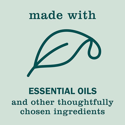 MRS. MEYER'S CLEAN DAY Hand Soap, Made with Essential Oils, Biodegradable Formula, Birchwood, 12.5 fl. oz