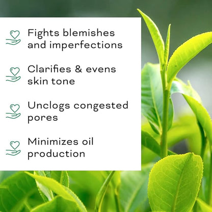 Clarifying Tea Tree Facial Oil, Targets Acne and Uneven Skin Tone, Antioxidant-Rich Beauty Oil, 1-fl oz/30ml (1 Pack)