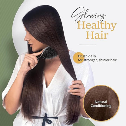 Nylon Teeth Boar Bristle Hair Extension Brush Cushion Hair Brush for Women Styling Smoothing Detangling