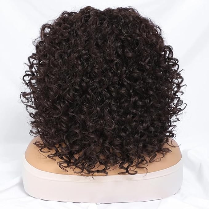 Felek 16inch Curly Lace Front Wigs Middle Part Jerry Curl Wig T Lace Front Curly Glueless Synthetic Pre-Plucked Afro Curly Lace Wigs For Black Women(#4)