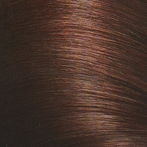 John Frieda Precision Foam Colour, Dark Chocolate Brown 4BG, Full-Coverage Hair Color Kit, Anti-Fade Gray Coverage, Deep Color Saturation Hair Dye, 1 Application