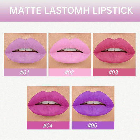 AMY'S DIARY Pink Purple Matte Plum Liquid Lipstick 5Pcs Sets,24-hour Lipstick Light Red Plum Red Lip Stain 24 Smudge Waterproof Matte Lipstick Lip Stain Gloss Long Lasting for Girl (Set01)