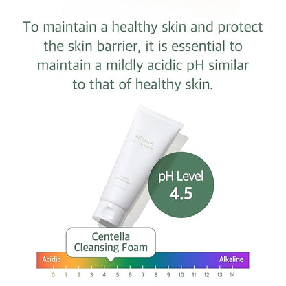 mixsoon Centella Cleansing Foam 5.07 fl oz/ 150ml,Low pH cleansing foam for soothing and moisturization