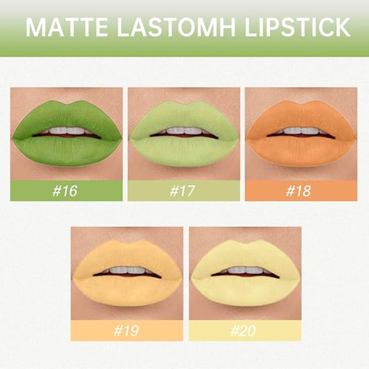 AMY'S DIARY Matte Plum Liquid Lipstick 5Pcs Sets,24-hour Lipstick Green Yello Plum Lip Stain 24 Smudge Waterproof for Women (Set04)