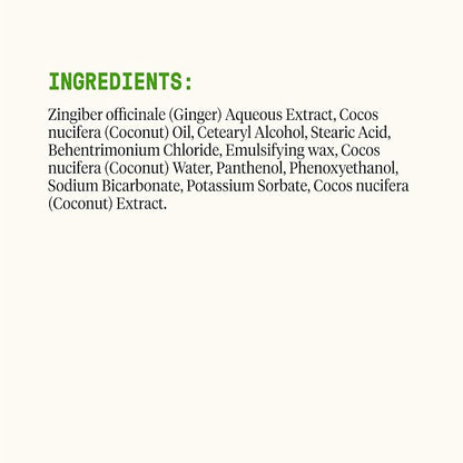 Alaffia EveryDay Coconut Conditioner, Coconut Lime 32 FZ (Pack of 2)