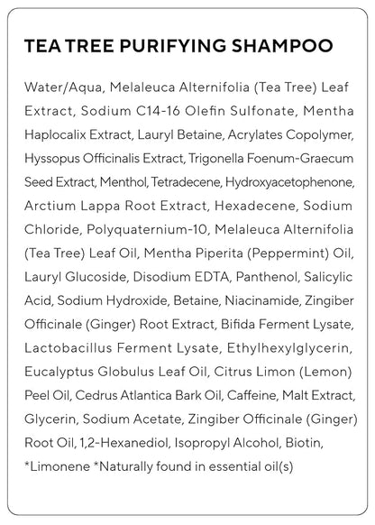 AROMATICA Tea Tree Purifying Shampoo 13.53fl.oz./400ml, Tea Tree Shampoo for Oily Hair and Scalp, Sulfate Free, Vegan
