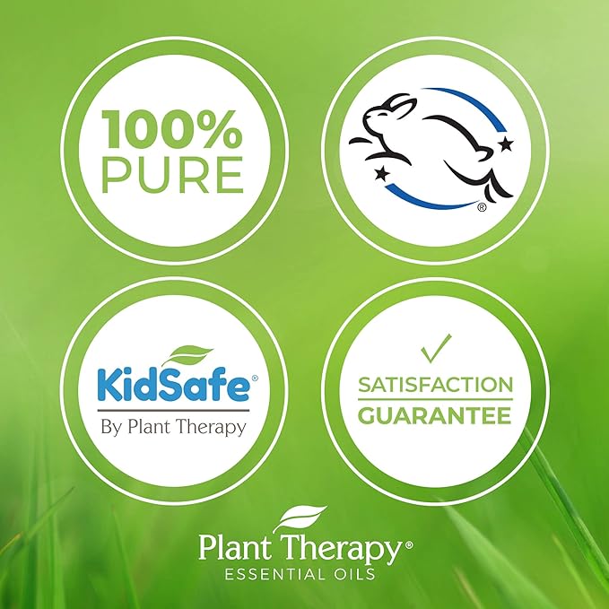 Plant Therapy Aloe Vera Jelly 4 oz, All Natural, Unscented Base, For All Skin Types, Soothe Dry, Irritated Skin, Skin-loving, Essential Oil Dilution