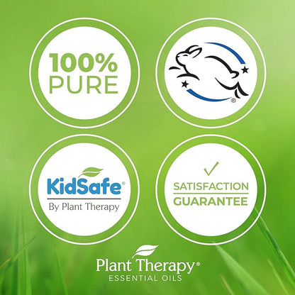 Plant Therapy Aloe Vera Jelly 4 oz, All Natural, Unscented Base, For All Skin Types, Soothe Dry, Irritated Skin, Skin-loving, Essential Oil Dilution