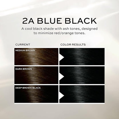 John Frieda Precision Foam Colour, Blue Black 2A, Full-coverage Hair Color Kit, Anti-Fade Gray Coverage, Deep Color Saturation Hair Dye, 1 Application