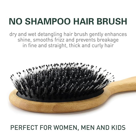No Shampoo Hair Brush,Natural Boar Bristle Hair Brush for Women, Men, Kids;Smooths Frizz and Prevents Breakage in Fine and Straight, Thick and Curly Hair (oval)