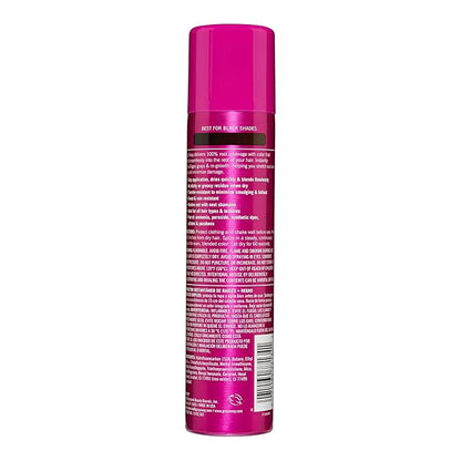 EVERPRO Gray Away Instant Root