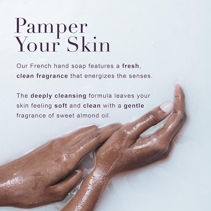 A LA MAISON de Provence Lavender Aloe Liquid Hand and Body Soap (Pack of 2) With Argan Oil, Olive Oil and Vitamin E, 16.9 fl oz Each