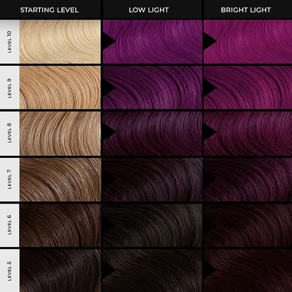 XMONDO Color Purple + Pink