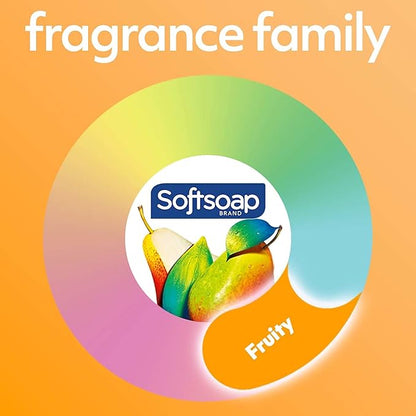 Softsoap Body Wash, Pomegranate & Mango Spritz Body Wash, 20 Fl Oz (Pack of 4)