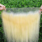 IDN BEAUTY SKINLIKE REAL HD 13X4 Lace Frontal Human Hair Scalp-Simulating 0.1mm Ultra Thin HD Frontal Pre Bleached Single Knots Pre Plucked Clean Natural Hairlin #613 Blonde ST 18 Inch