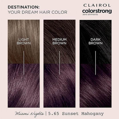 Clairol ColorStrong Permanent Zero Ammonia Hair Dye, 5.65 Sunset Mahogany - Miami Nights Hair Color, Pack of 1