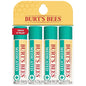 Burt's Bees Medicated Lip Balm, With