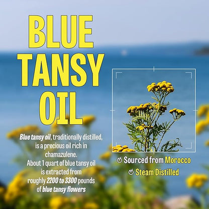 [K-Beauty] Blue Tansy Oil to Foam - All-in-One Korean Face Wash Oil Based Foaming Facial Cleanser - Excess Sebum & Oil Control - Makeup Deep Cleansing Oil for All Skin Types (3.88 fl oz)