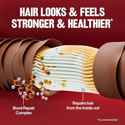 Revlon ColorSilk with Bond Repair Complex, Auburn Permanent Hair Color, 100% Gray Coverage, Ammonia Free Hair Dye, Vegan Keratin, 42 Medium Auburn (Pack of 3)