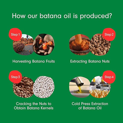 (Pack of 2) Batana Oil for Hair Growth: Dr Sebi Organic Raw Batana Oil from Honduras - 100% Pure & Natural - For Thicker & Stronger Hair - 4 FL OZ Per Bottle