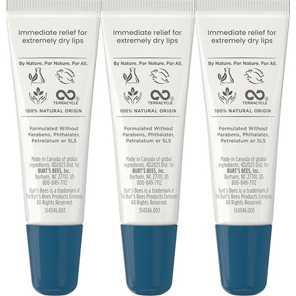 Burts Bees Rescue Lip Relief with Shea Butter and Echinacea, 100% Natural Origin, 0.35 Ounces