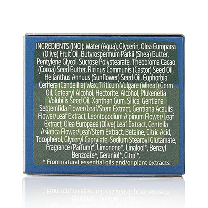 Weleda Face Care Rejuvenating Night Cream, Plant Rich Moisturizer with Blue Gentian and Edelweiss